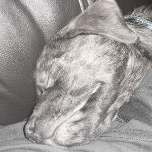 Meet your Posher, Richard